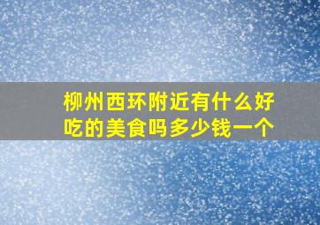 柳州西环附近有什么好吃的美食吗多少钱一个