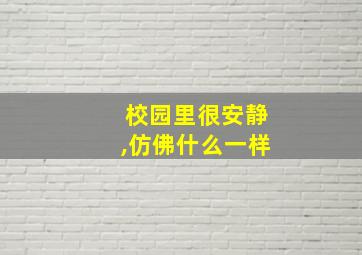 校园里很安静,仿佛什么一样