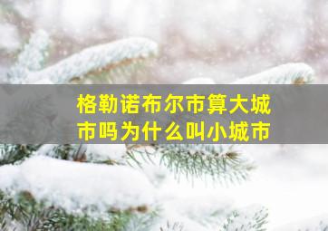 格勒诺布尔市算大城市吗为什么叫小城市