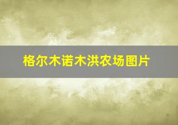 格尔木诺木洪农场图片