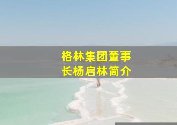 格林集团董事长杨启林简介