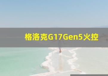 格洛克G17Gen5火控