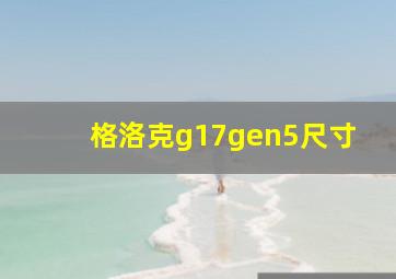 格洛克g17gen5尺寸