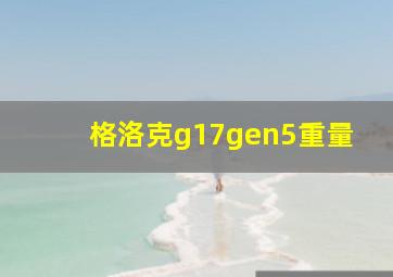 格洛克g17gen5重量