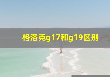 格洛克g17和g19区别