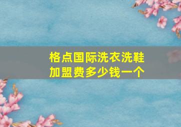 格点国际洗衣洗鞋加盟费多少钱一个