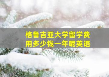 格鲁吉亚大学留学费用多少钱一年呢英语