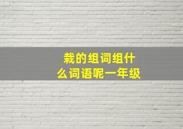 栽的组词组什么词语呢一年级