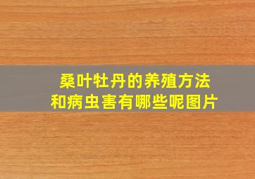 桑叶牡丹的养殖方法和病虫害有哪些呢图片