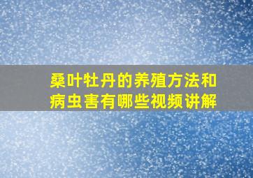 桑叶牡丹的养殖方法和病虫害有哪些视频讲解