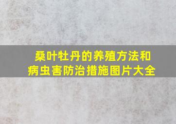 桑叶牡丹的养殖方法和病虫害防治措施图片大全