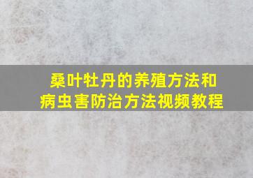 桑叶牡丹的养殖方法和病虫害防治方法视频教程