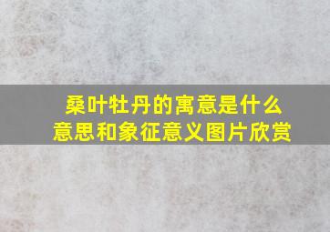 桑叶牡丹的寓意是什么意思和象征意义图片欣赏