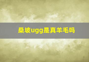 桑坡ugg是真羊毛吗