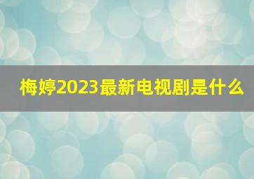 梅婷2023最新电视剧是什么