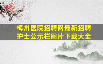 梅州医院招聘网最新招聘护士公示栏图片下载大全