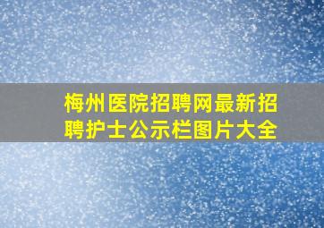 梅州医院招聘网最新招聘护士公示栏图片大全