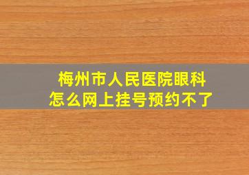 梅州市人民医院眼科怎么网上挂号预约不了