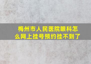 梅州市人民医院眼科怎么网上挂号预约挂不到了