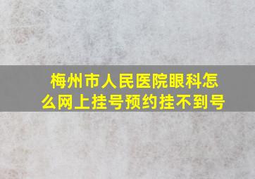 梅州市人民医院眼科怎么网上挂号预约挂不到号