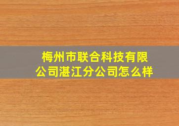 梅州市联合科技有限公司湛江分公司怎么样