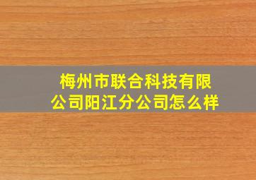 梅州市联合科技有限公司阳江分公司怎么样