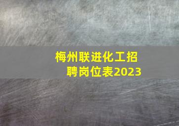 梅州联进化工招聘岗位表2023