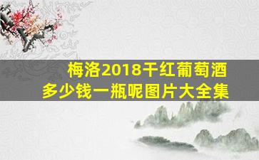 梅洛2018干红葡萄酒多少钱一瓶呢图片大全集