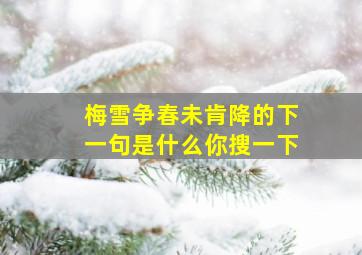 梅雪争春未肯降的下一句是什么你搜一下