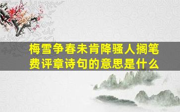 梅雪争春未肯降骚人搁笔费评章诗句的意思是什么