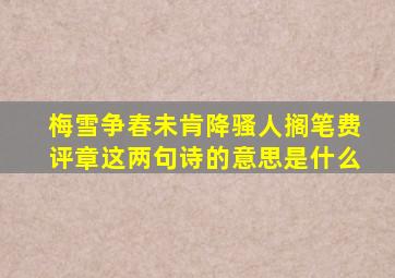 梅雪争春未肯降骚人搁笔费评章这两句诗的意思是什么