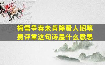 梅雪争春未肯降骚人搁笔费评章这句诗是什么意思