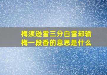 梅须逊雪三分白雪却输梅一段香的意思是什么