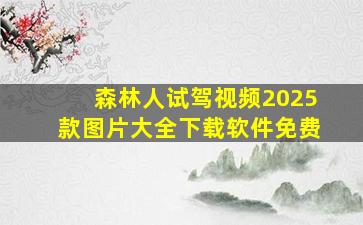 森林人试驾视频2025款图片大全下载软件免费