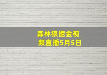 森林狼掘金视频直播5月5日