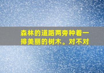 森林的道路两旁种着一排美丽的树木。对不对