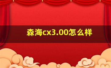 森海cx3.00怎么样