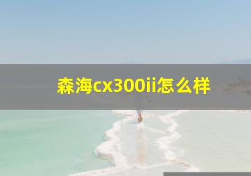 森海cx300ii怎么样