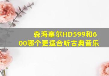 森海塞尔HD599和600哪个更适合听古典音乐