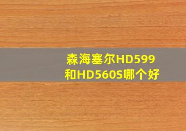 森海塞尔HD599和HD560S哪个好