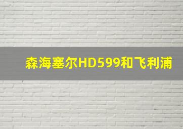 森海塞尔HD599和飞利浦