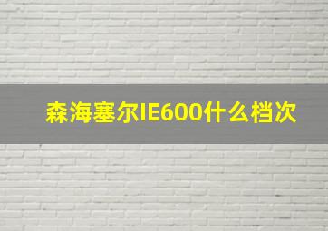 森海塞尔IE600什么档次