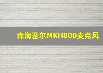 森海塞尔MKH800麦克风