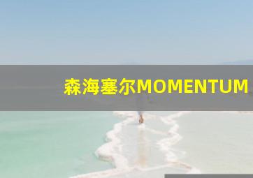 森海塞尔MOMENTUM