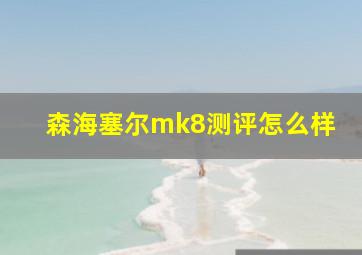 森海塞尔mk8测评怎么样