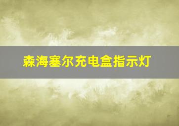 森海塞尔充电盒指示灯