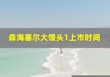 森海塞尔大馒头1上市时间