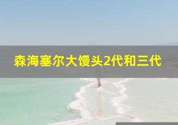 森海塞尔大馒头2代和三代