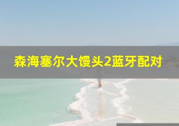 森海塞尔大馒头2蓝牙配对