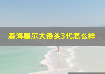 森海塞尔大馒头3代怎么样